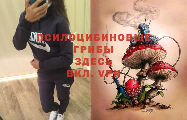 трава Бугульма
