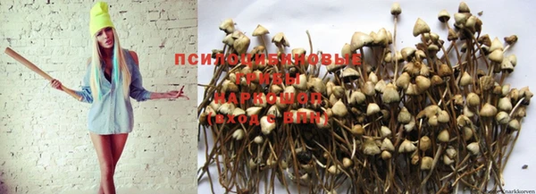 трава Бугульма