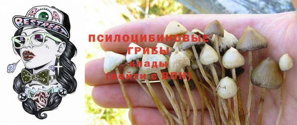 трава Бугульма