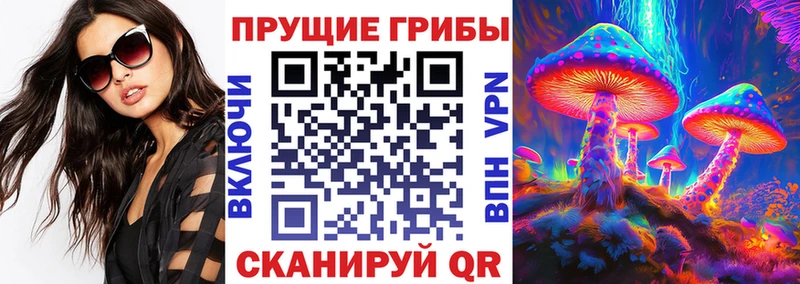 Псилоцибиновые грибы MAGIC MUSHROOMS  Купить закладки  Бахчисарай 
